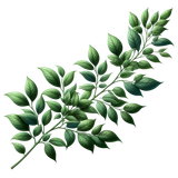 Strawberrylicious branch