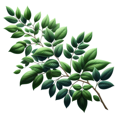 Strawberrylicious branch3.png