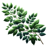 Strawberrylicious branch3