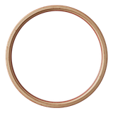 Strawberrylicious frame13