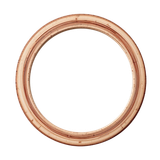 Strawberrylicious frame12