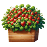 Strawberrylicious bucket3