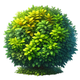 Strawberrylicious bush