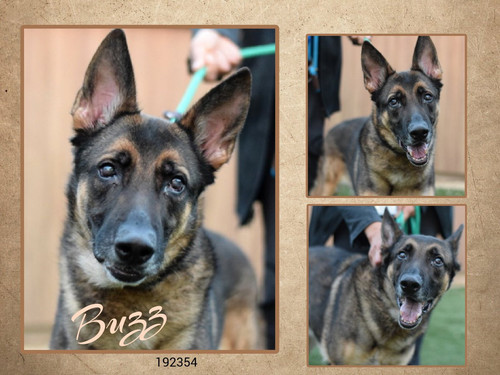 G qXqkvbQAUqS4t?format=jpg.jpg