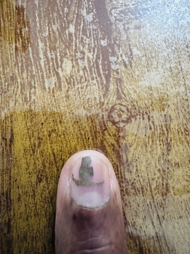 G xmIXDbEAEBYgJ?format=jpg.jpg