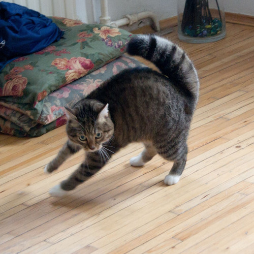 G xPtG4awAASPg ?format=jpg.jpg