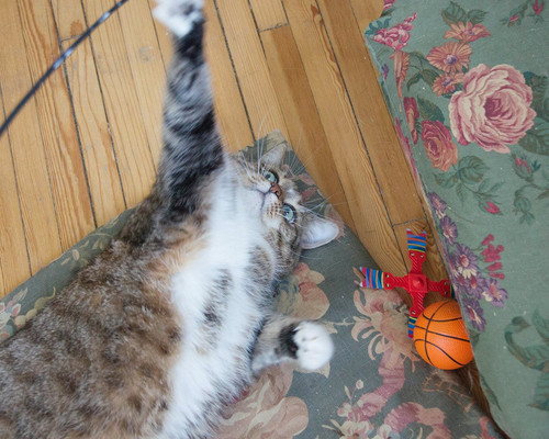 G xPtFzaEAAoyA4?format=jpg.jpg