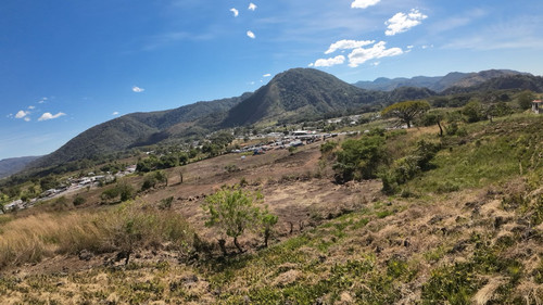 WhatsApp Image 2026 01 16 at 9.19.16 AM.jpg