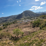 WhatsApp Image 2026 01 16 at 9.19.16 AM