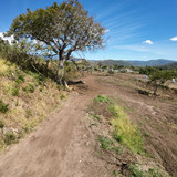 WhatsApp Image 2026 01 16 at 9.19.17 AM (5)