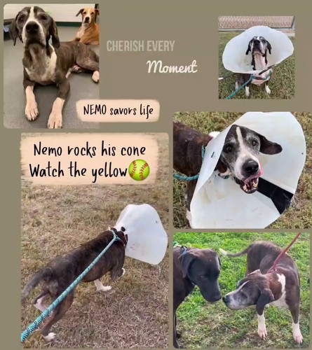 GGaRWABP72St 3mz.jpg