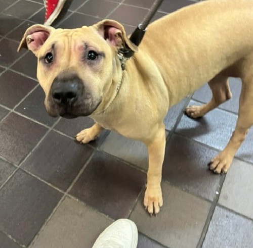 G OiSAOXsAAoLog?format=jpg.jpg