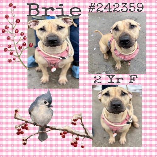 G BfKHCXAAEpJlE?format=jpg.jpg