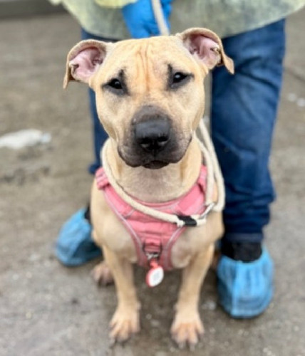 G OiSANWgAAHk1X?format=jpg.jpg