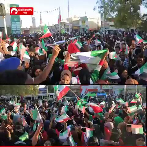 nyU7L37rCz gLGQc.jpg