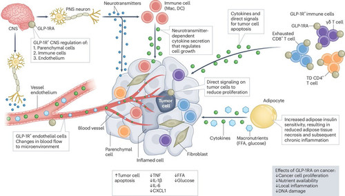 G x9GZrWwAAQbky?format=jpg.jpg