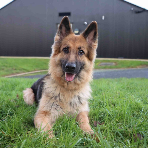 G taKw1bQAcfeGR?format=jpg.jpg