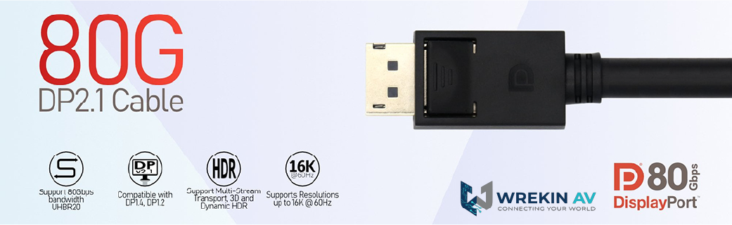 DisplayPort 2.1 DP80