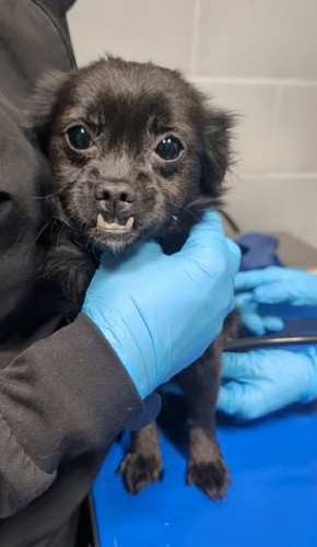 G vzS7iXsAAjZxL?format=jpg.jpg