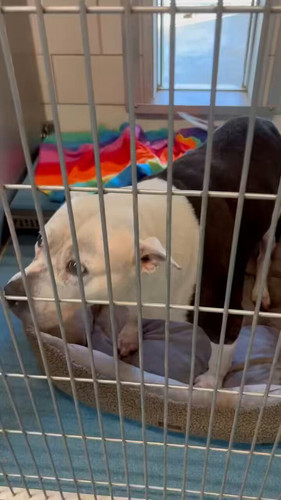 0ttXN2TgQ97Bq TO.jpg