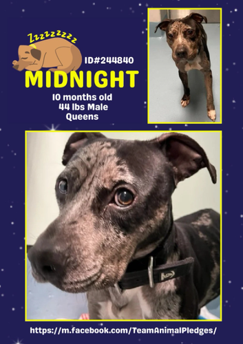 G QDTXNagAAZjDf?format=png.png