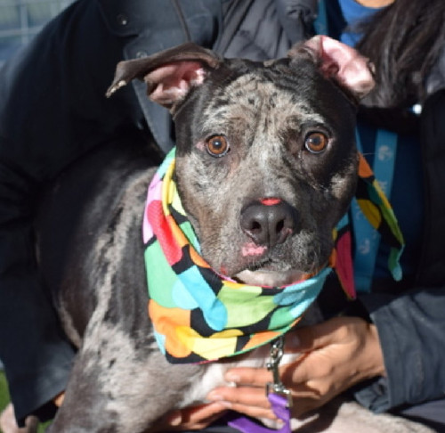 G jt3hQb0AAP65d?format=jpg.jpg