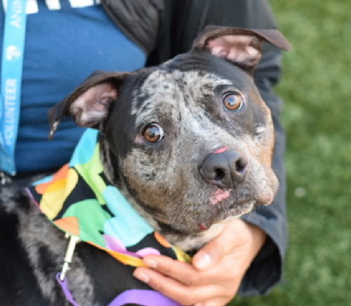 G juBWla0AA MZb?format=png.png