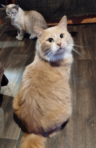 G xyIqKX0AA4giA?format=jpg.jpg