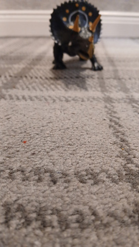 temp 1768587263360.jpg