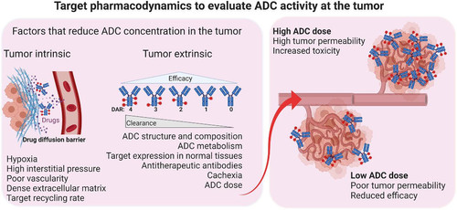 G xJHU3aUAAFalM?format=jpg.jpg