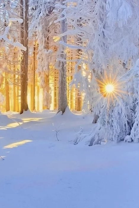 G rUtdJbQAIQqyN?format=jpg.jpg