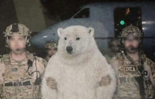 G sTXfVWYAAGX y.jpg