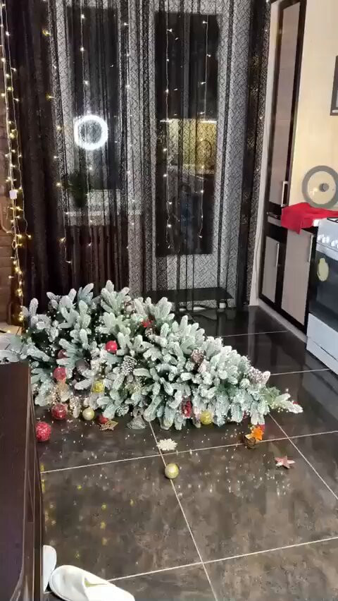 f nTAS 4c7kHAaLP.jpg