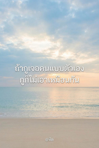 0e6ef173613e.jpg