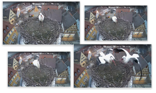 Bilder3.jpg