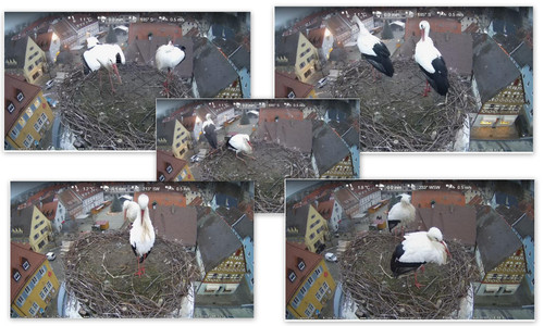 Bilder4.jpg