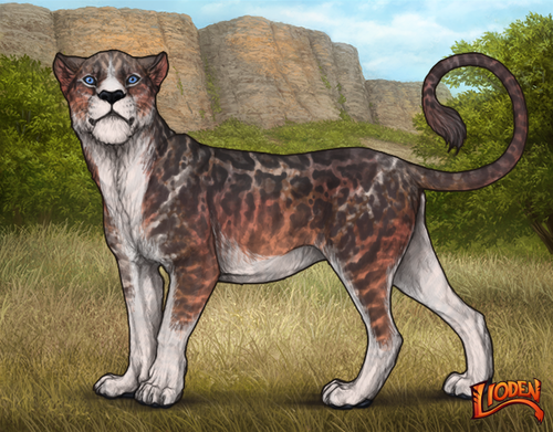 lioden wardrobe (56).png