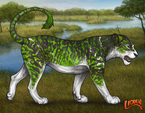 lioden wardrobe (63).png