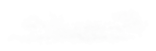 95xcv (5).png