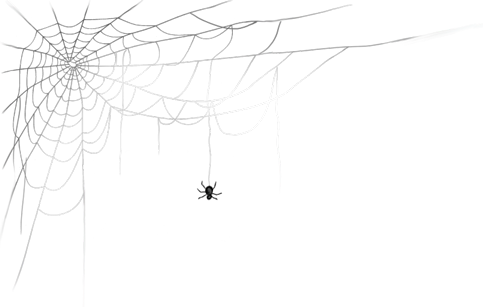 95xcv (6).png