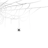 95xcv (6)