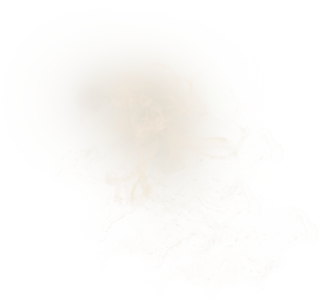 95xcv (4).png