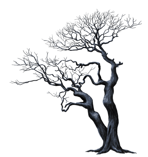 62.png