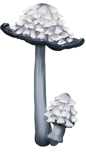 02.png