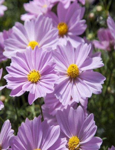 718R8JW8G6L. SL1500 .jpg