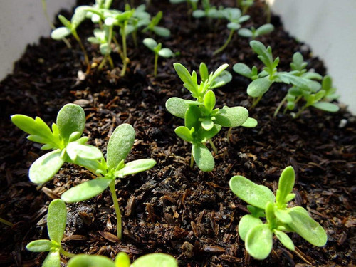 71ZJFxZLREL. AC SL1024 .jpg