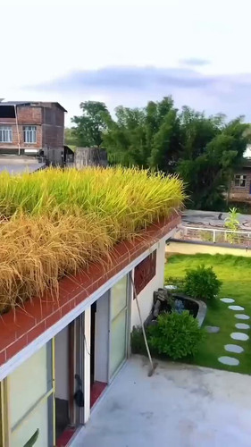 dqIZhEM8Ai 6RZWg.jpg