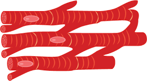 download.png