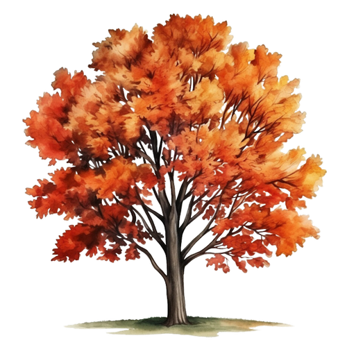 DBK PumpkinSpiceCafeE15.png