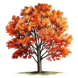 DBK PumpkinSpiceCafeE15